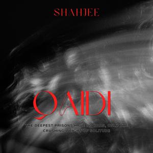 Qaidi