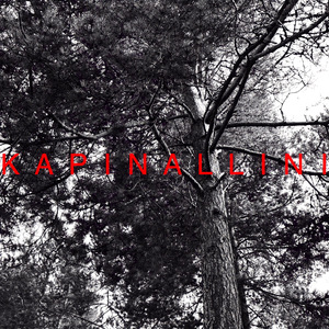 Kapinallini