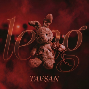 Tavşan