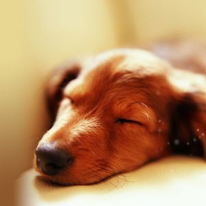 小幸运（Cover 田馥甄）