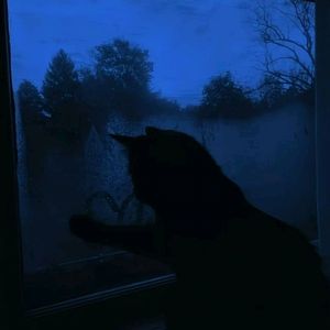 转身已路过 (浴室氛围版)