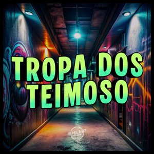 Tropa dos Teimoso