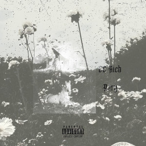 CC Rich