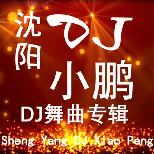 潇公子-韭菜花儿开（DJ 小鹏版）（DJ 小鹏 remix）