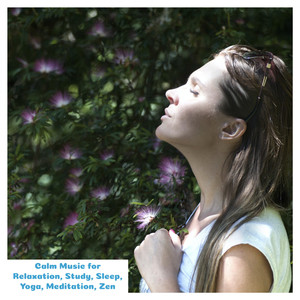 Concentrarse (Original Mix)