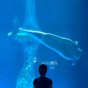 Fish in the Blue Water (Rearrange)