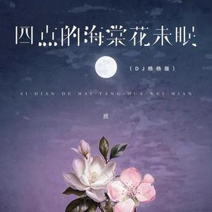四点的海棠花未眠（DJ版）