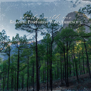Relaxing Pineforest Wind Ambience, Pt. 8