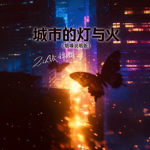 城市的灯与火（烟嗓说唱版）