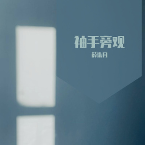 袖手旁观(Live)