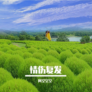 情伤复发