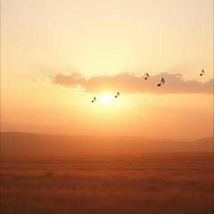 พรุ่งนี้ยังมีพระอาทิตย์ขึ้น