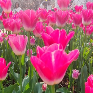 如果幸福像流泪那样简单就好了