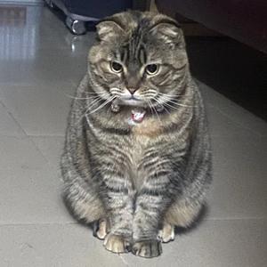 DJ-YJG-全程强劲输出Vina House串烧2023.1.17（DJ-YJG remix）