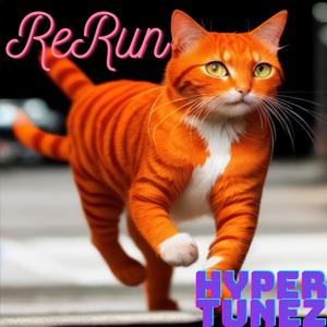 ReRun