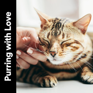 Your Kitten's Hobby to Listen