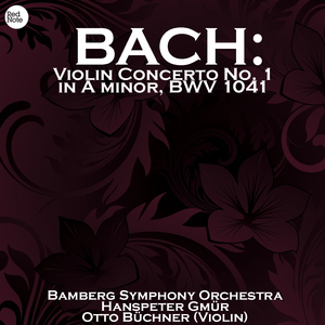 Violin Concerto in A Minor, BWV 1041: III. Allegro assai
