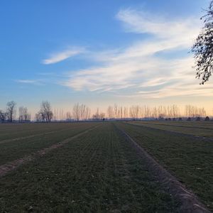 你好好爱我 伴奏