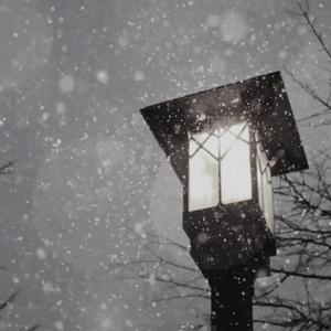 你和冬离去的背影