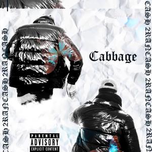 Cabbage