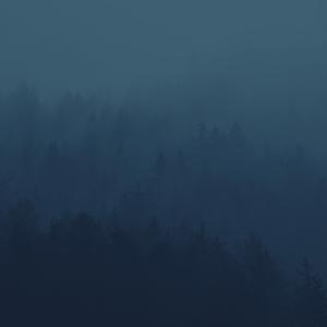 I thought about it for a long time, and maybe it wasn’t all on me.