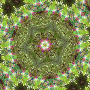 In sacred circles