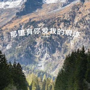 那里有你爱我的痕迹