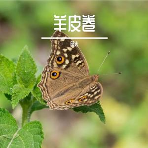 荒漠星种
