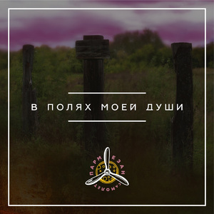 В полях моей души