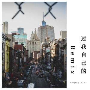 梁老师Tsong-过我自己的Remix（Angry Cat remix）