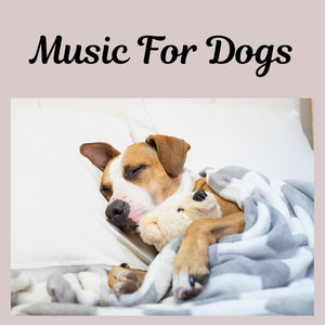 Dog Calming Music