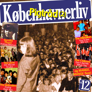 Rockin' Pneumonia And The Boogie Woogie Flu