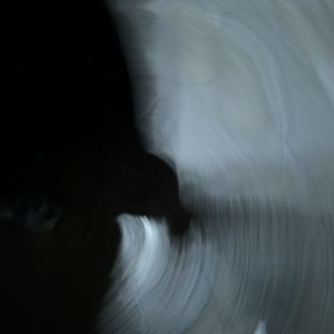 他们都说我是依赖你