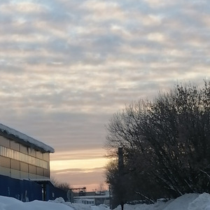 Одинокий