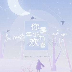 你是年少的欢喜