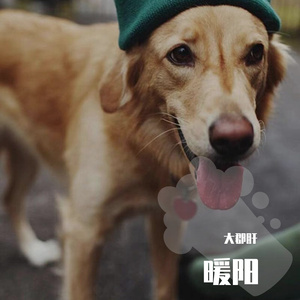 没有你陪我的夜晚