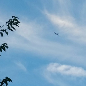 モデルガンとグローブ