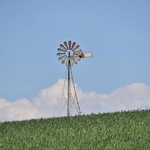 Can’t Stop the Feeling