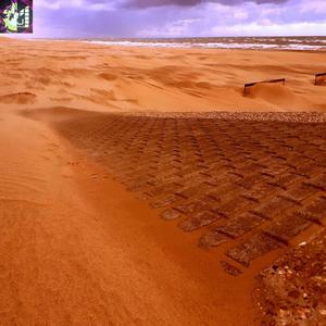 A Dangerous Rule Of The Old Nymph