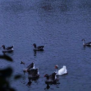 致父亲-爱（Prod EVOMUSIC）