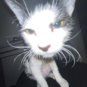 next week (feat. heygwuapo)