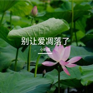 请你别走太快了