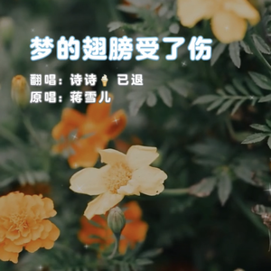 梦的翅膀受了伤