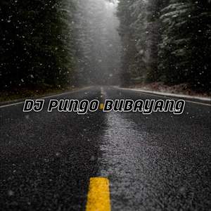 Dj Pungo Bubayang 2023 (Remix Aceh, Lagu Aceh Remix Viral)