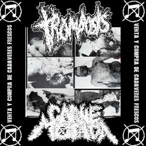 SPLIT CARNE MOLIDA 2 TRAX