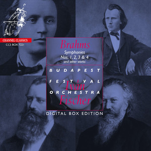 Symphony No. 2 in D Major, Op. 73: II. Adagio non troppo