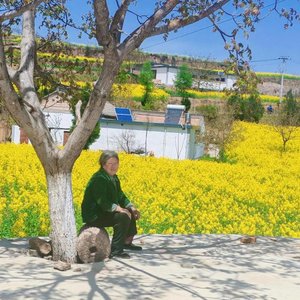 如果当时  伴奏