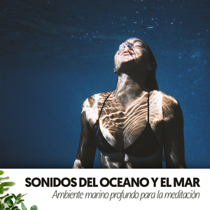 Serenidad junto al mar