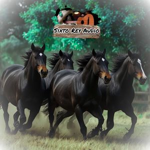 Por Culpa del Celular