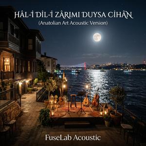 Hâl-i Dil-i Zârımı Duysa Cihân (Anatolian Art Acoustic Version)